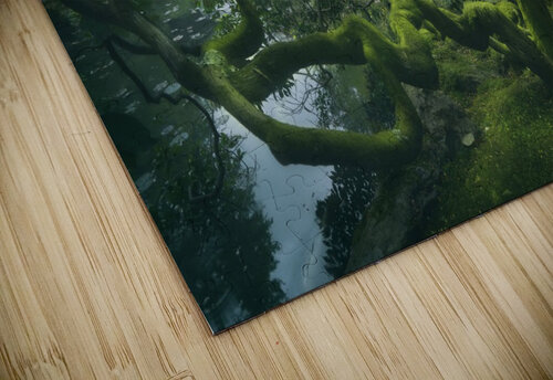 Japanese Tree 1x puzzle