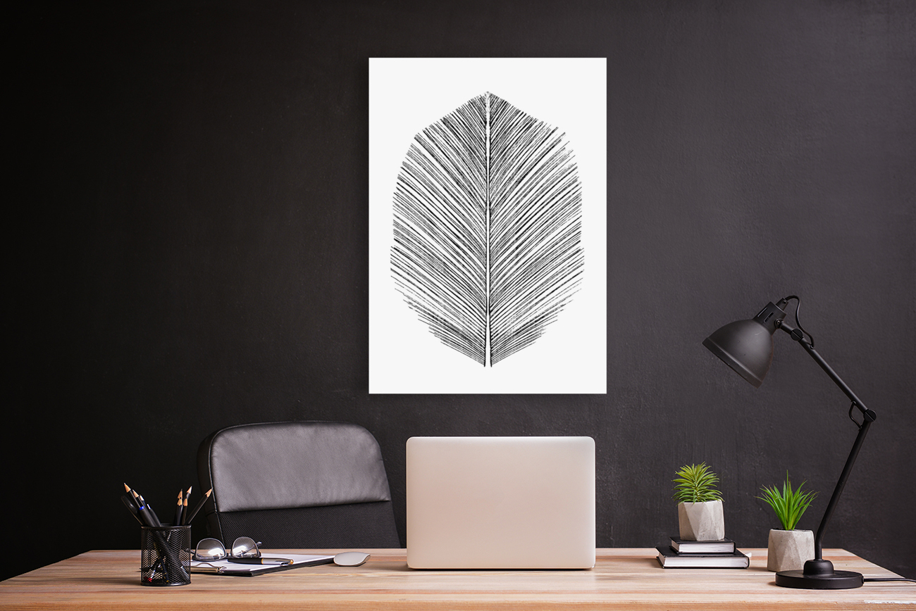 Feather Reproduction