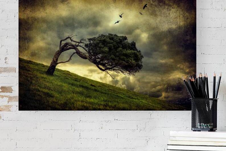 Winds of Change by Peter Elgar  by 1x