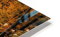 Road to fall HD Metal print