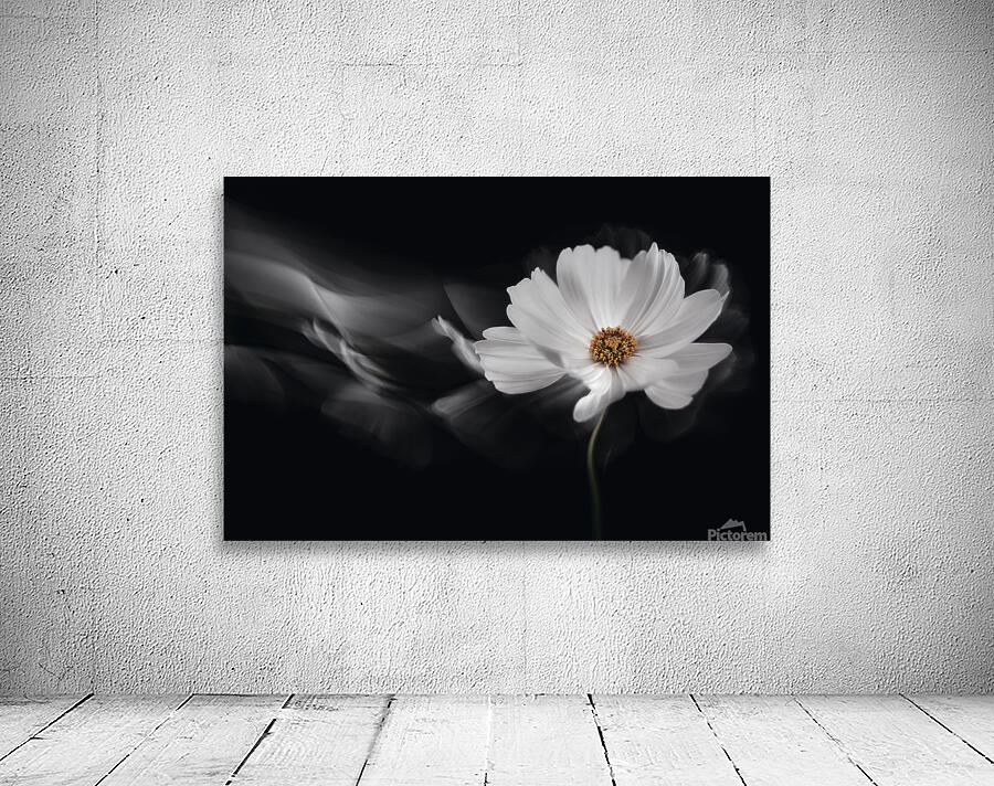 Symphony White Wall Preview