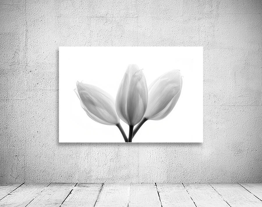 Trinity Wall Preview