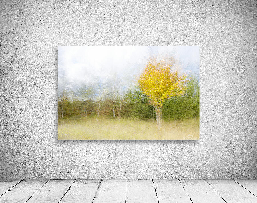 Impressionistic birch Wall Preview