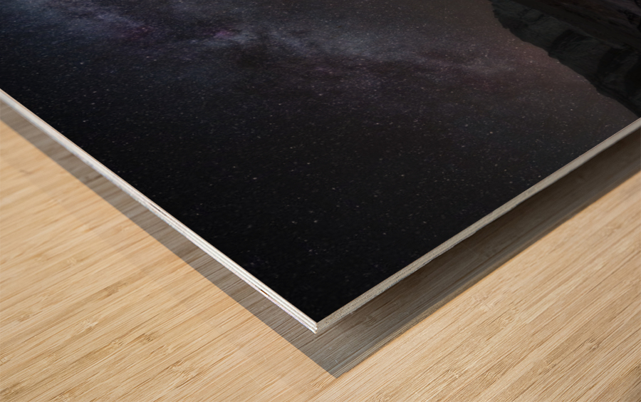 Toadstool Night Wood print