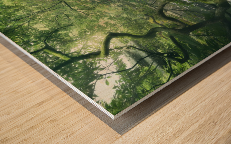 Japanese Tree Wood print