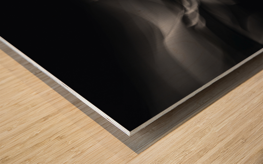 Symphony White Wood print