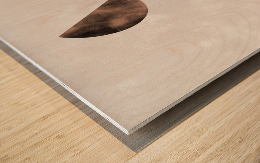 geo_3 amigos_002_brown Wood print