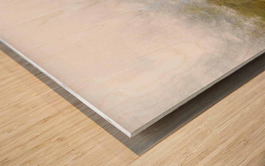 Impressionistic birch Wood print