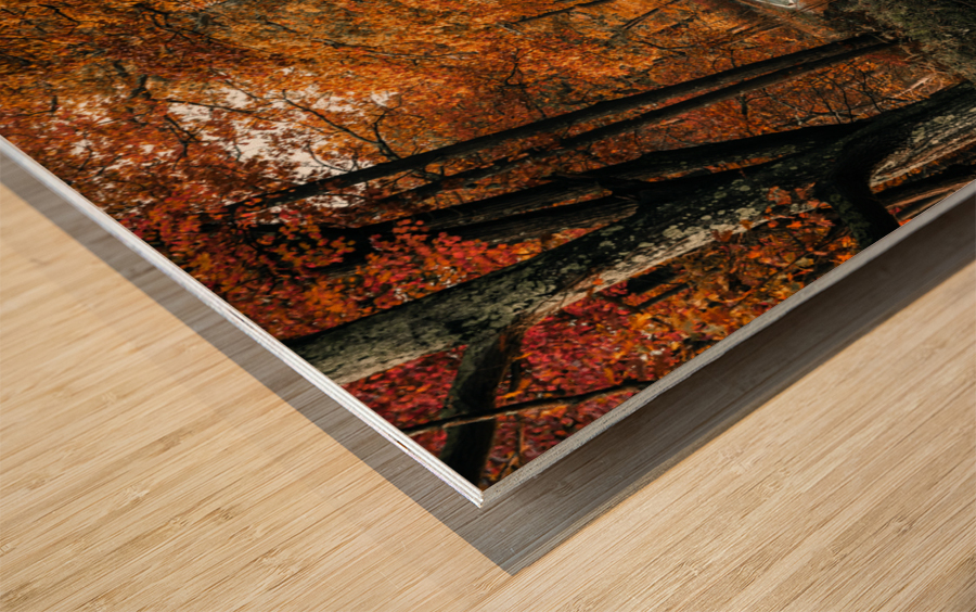 Road to fall Wood print