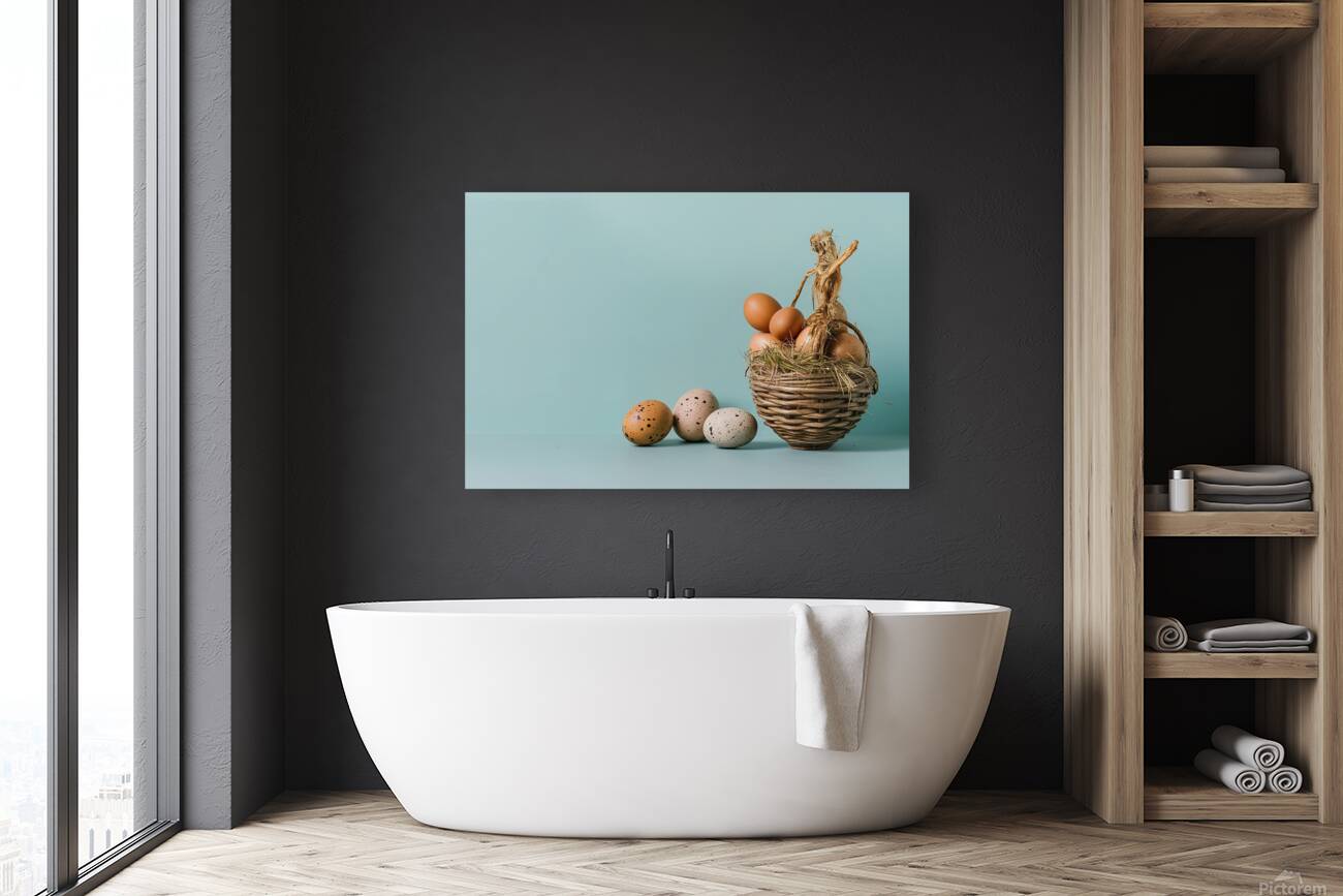 Background with quail eggs 2 Reproduction