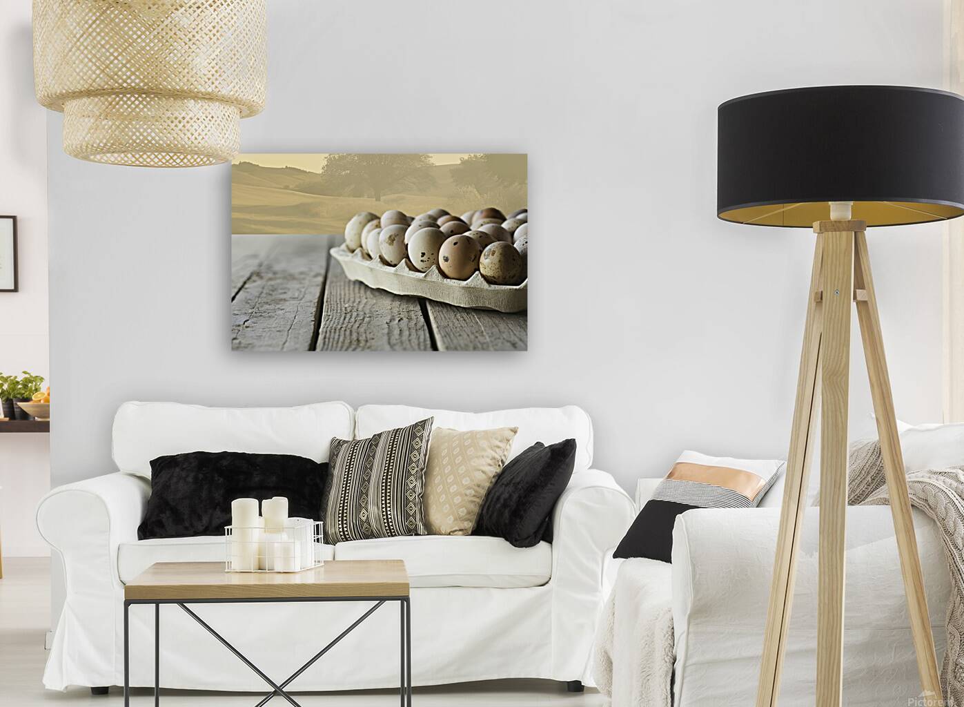 Background with quail eggs 3 Reproduction