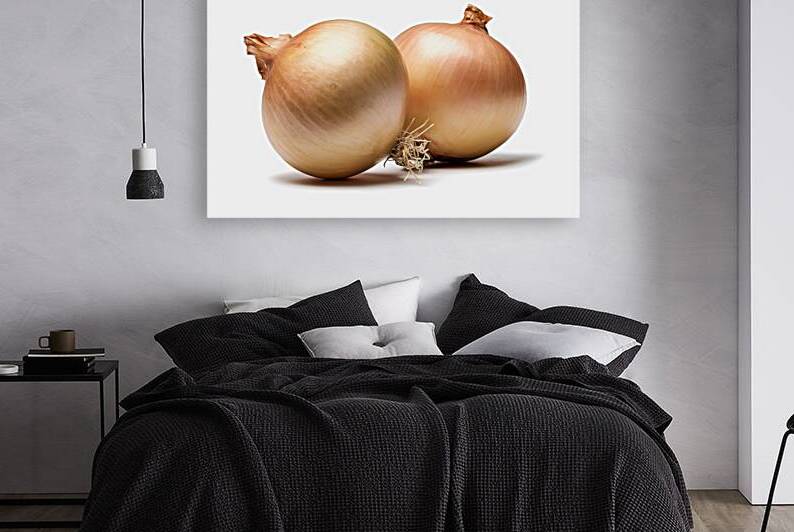Two fresh onions with their characteristic bulbou by Romeu Hurmuzache