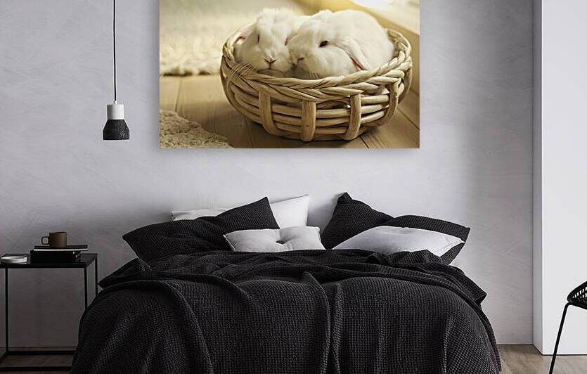 Two rabbits nestled in a woven basket 1 by Romeu Hurmuzache