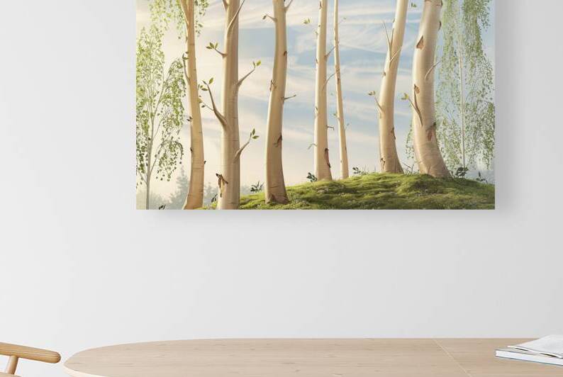 A collection of birch tree trunks 2 by Romeu Hurmuzache