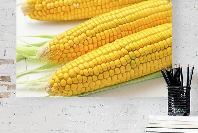 Sweet corn ears on white background 2 by Romeu Hurmuzache