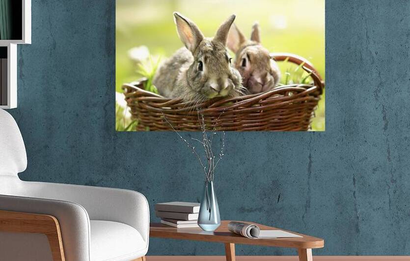 Two rabbits nestled in a woven basket 2 by Romeu Hurmuzache