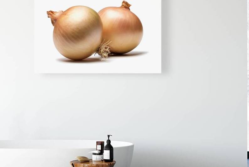 Two fresh onions with their characteristic bulbou by Romeu Hurmuzache