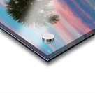 Palm Trees & Sunsets  Acrylic print