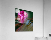Sunkissed Pond Lily   Acrylic Print