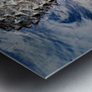 Gator Cruising  Metal print
