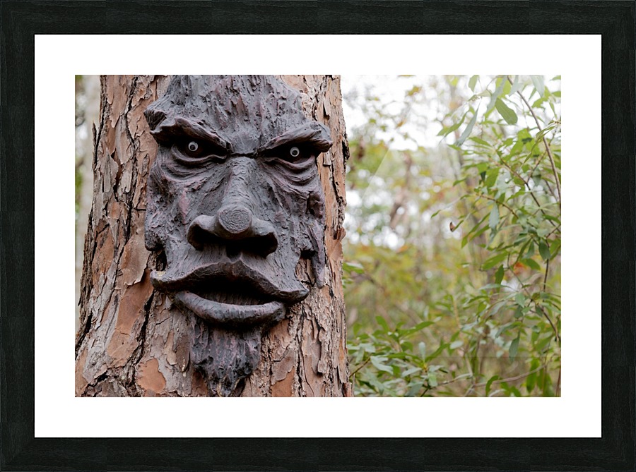 The Animated Forest Picture Frame print