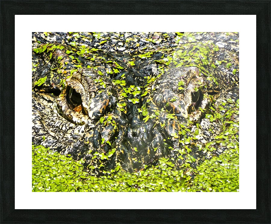 The Staredown Picture Frame print
