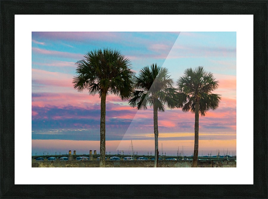 Palm Trees & Sunsets  Picture Frame print
