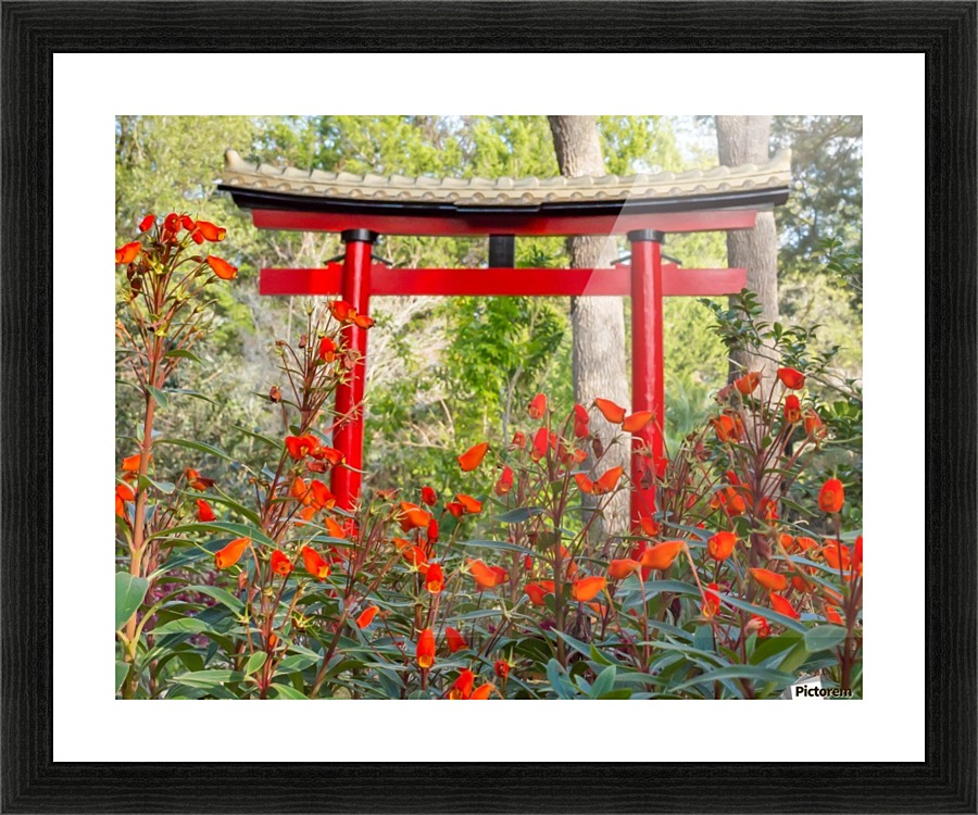 Torri with Flowers  Picture Frame print