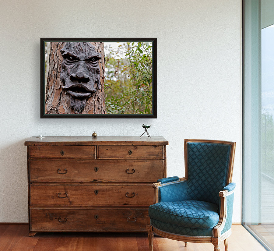 The Animated Forest Reproduction