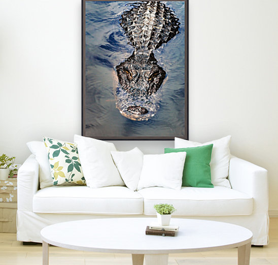 Gator Cruising  Reproduction
