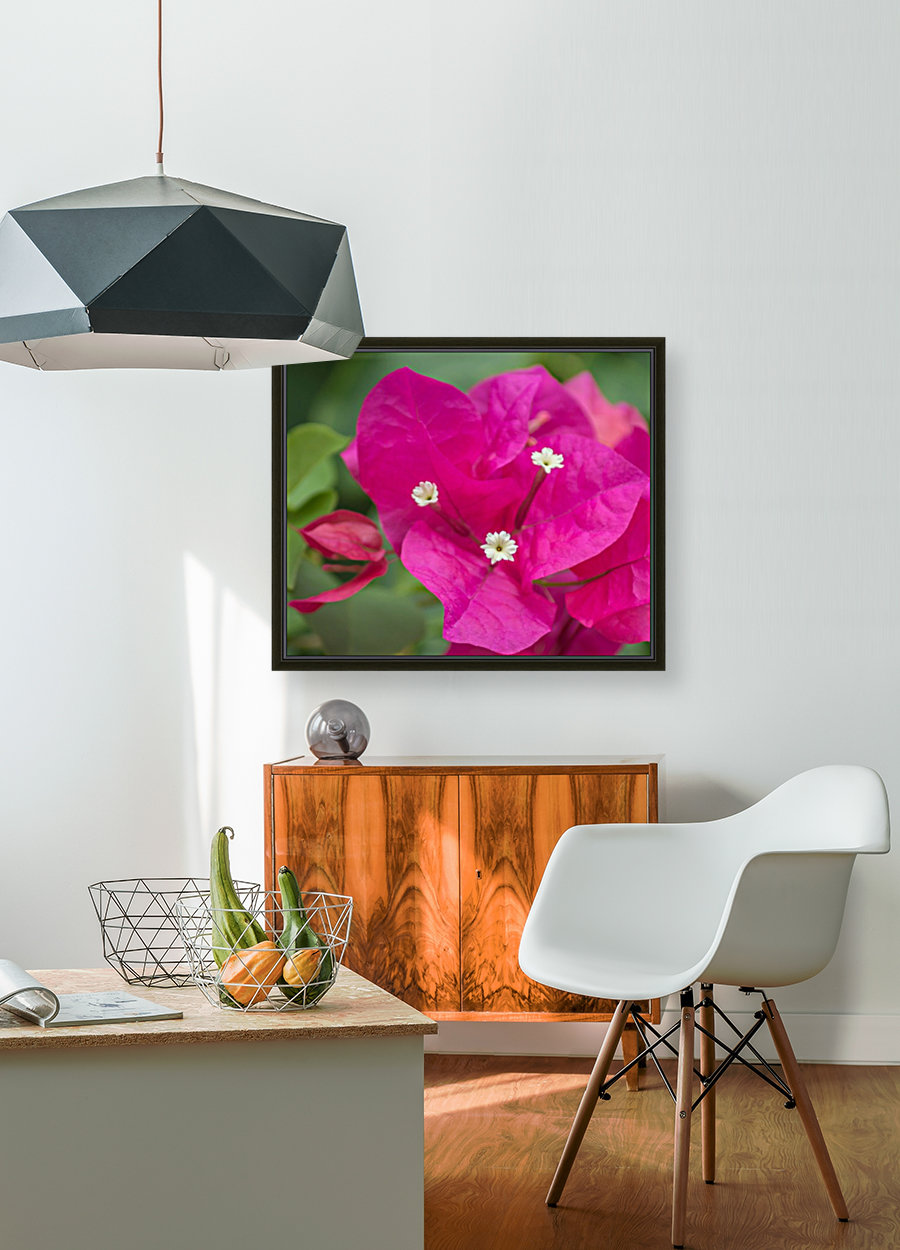 Azalea Bloom Reproduction