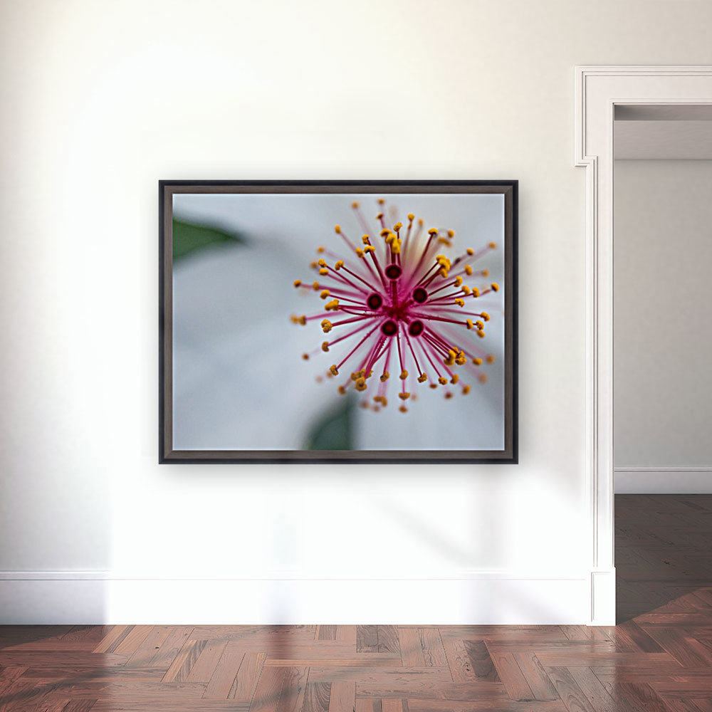 Botanical Intricacies  Reproduction