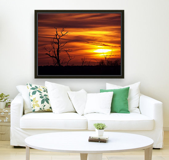 Paynes Prairie Sunset  Reproduction