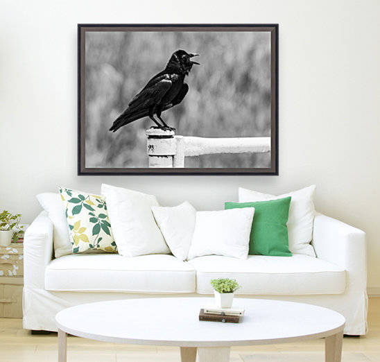 The Ravens Call Reproduction