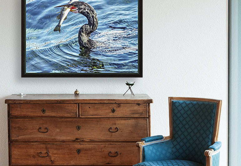 The Early Bird Catches the Fish by Melody Rossi