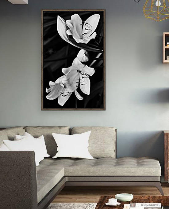 Black and White Lily Trio by Melody Rossi