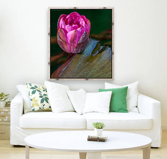 Sunkissed Pond Lily   by Melody Rossi