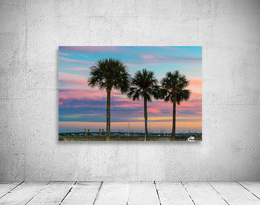 Palm Trees & Sunsets  Wall Preview