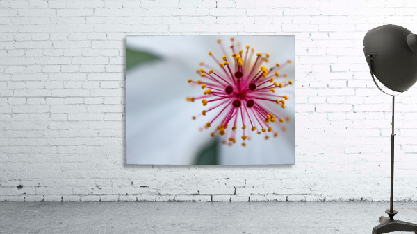 Botanical Intricacies  Wall Preview