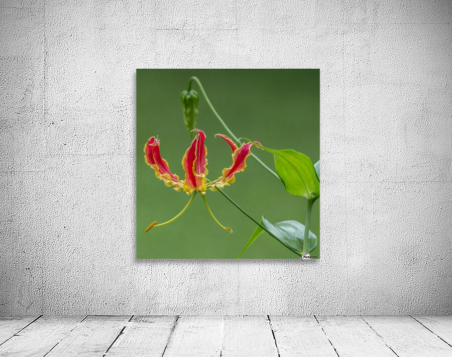 Flame Flower  Wall Preview