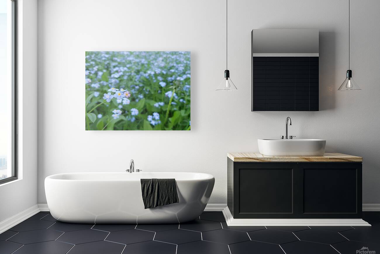 Forget Me Nots Reproduction