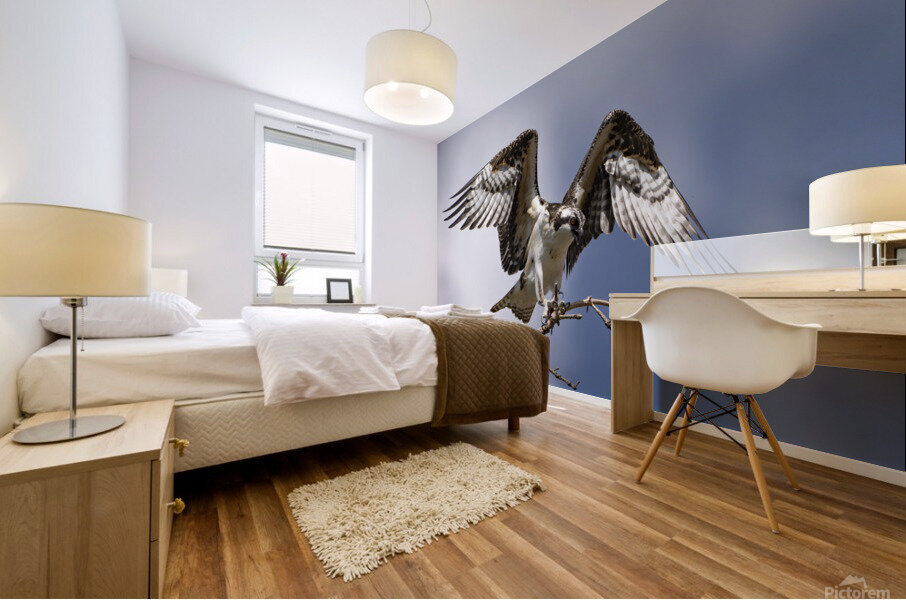 The Osprey Mural print
