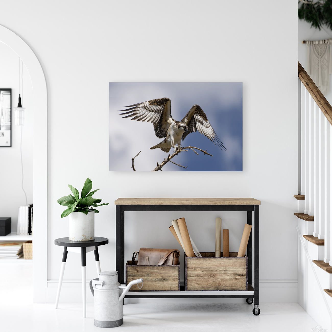 The Osprey Reproduction