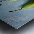 Pears Metal print