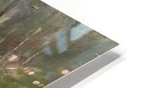 Watersmeet HD Metal print