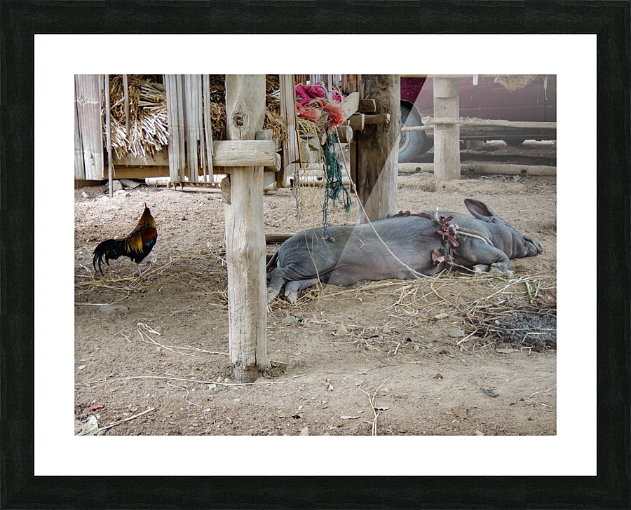Time for a rest Picture Frame print