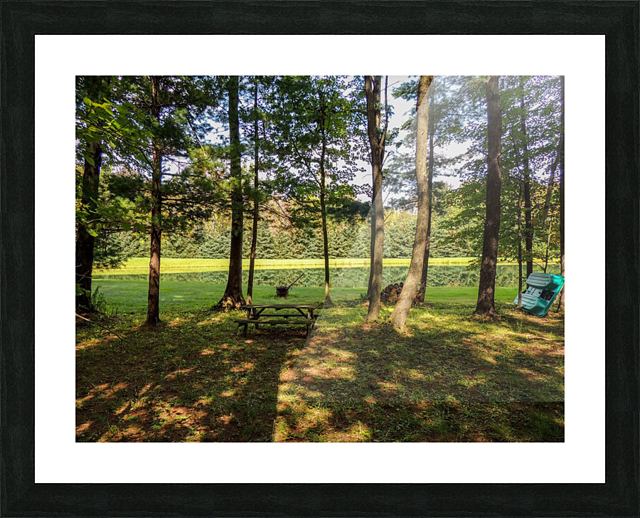Shadows Picture Frame print