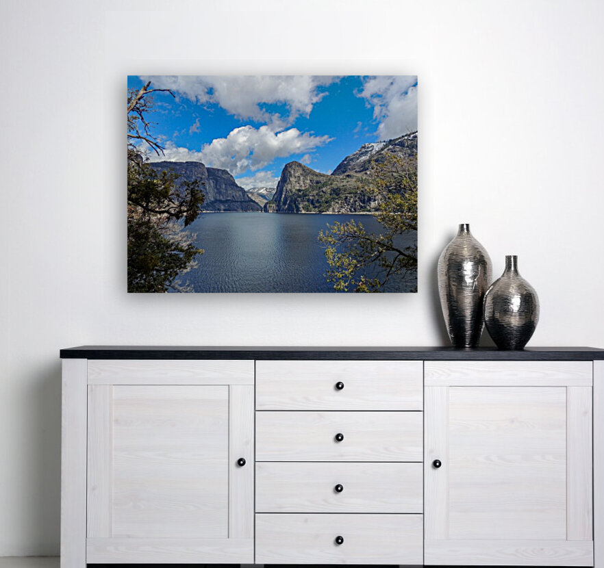 Hetch Hetchy Reservoir Reproduction