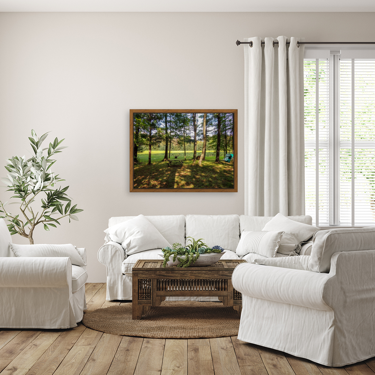 Shadows Reproduction