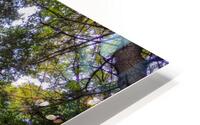 View from below HD Metal print